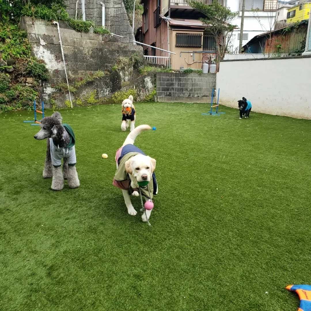 雨が降ってるか降ってないかくらいの小雨になったので今のうちに...