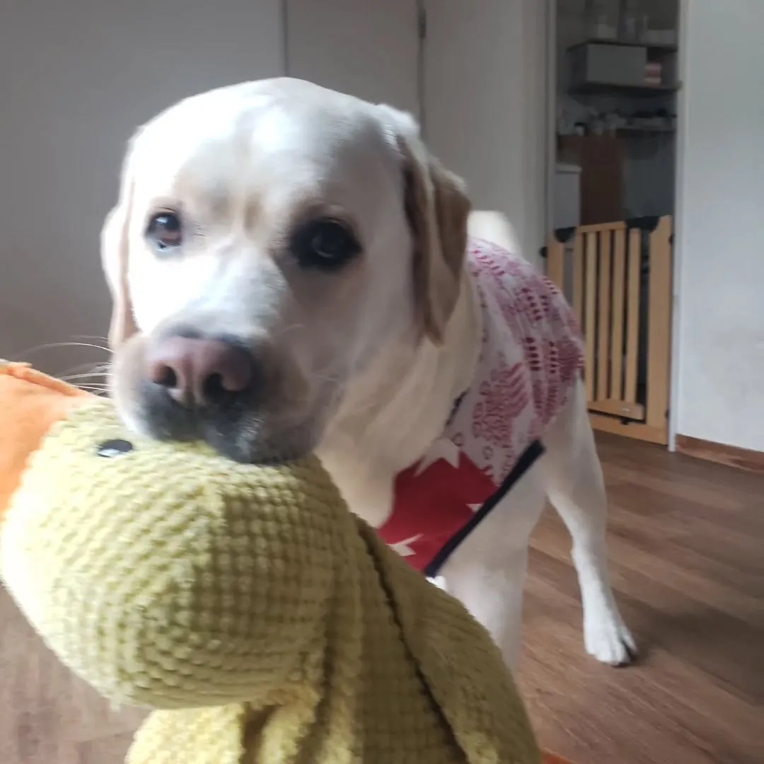 雨の日はお部屋遊び🎵