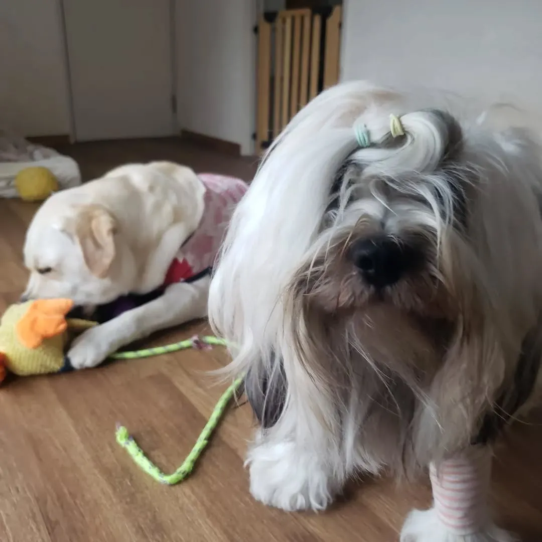 雨の日はお部屋遊び🎵