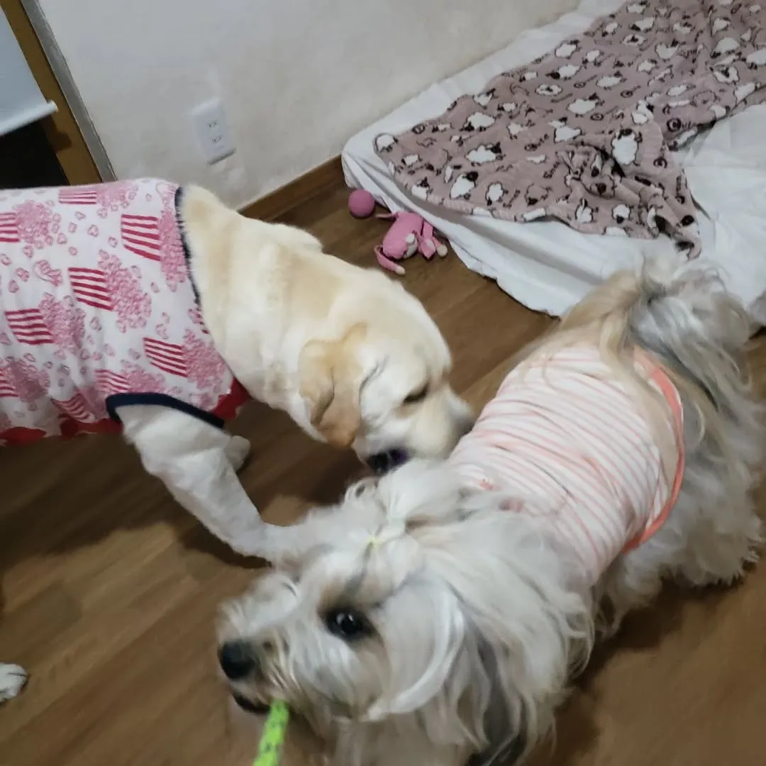 雨の日はお部屋遊び🎵