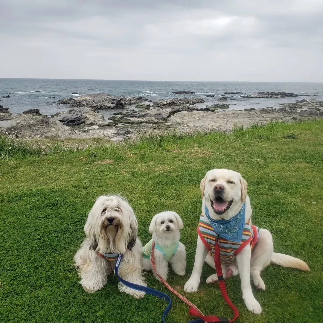 久しぶりの家族旅行。