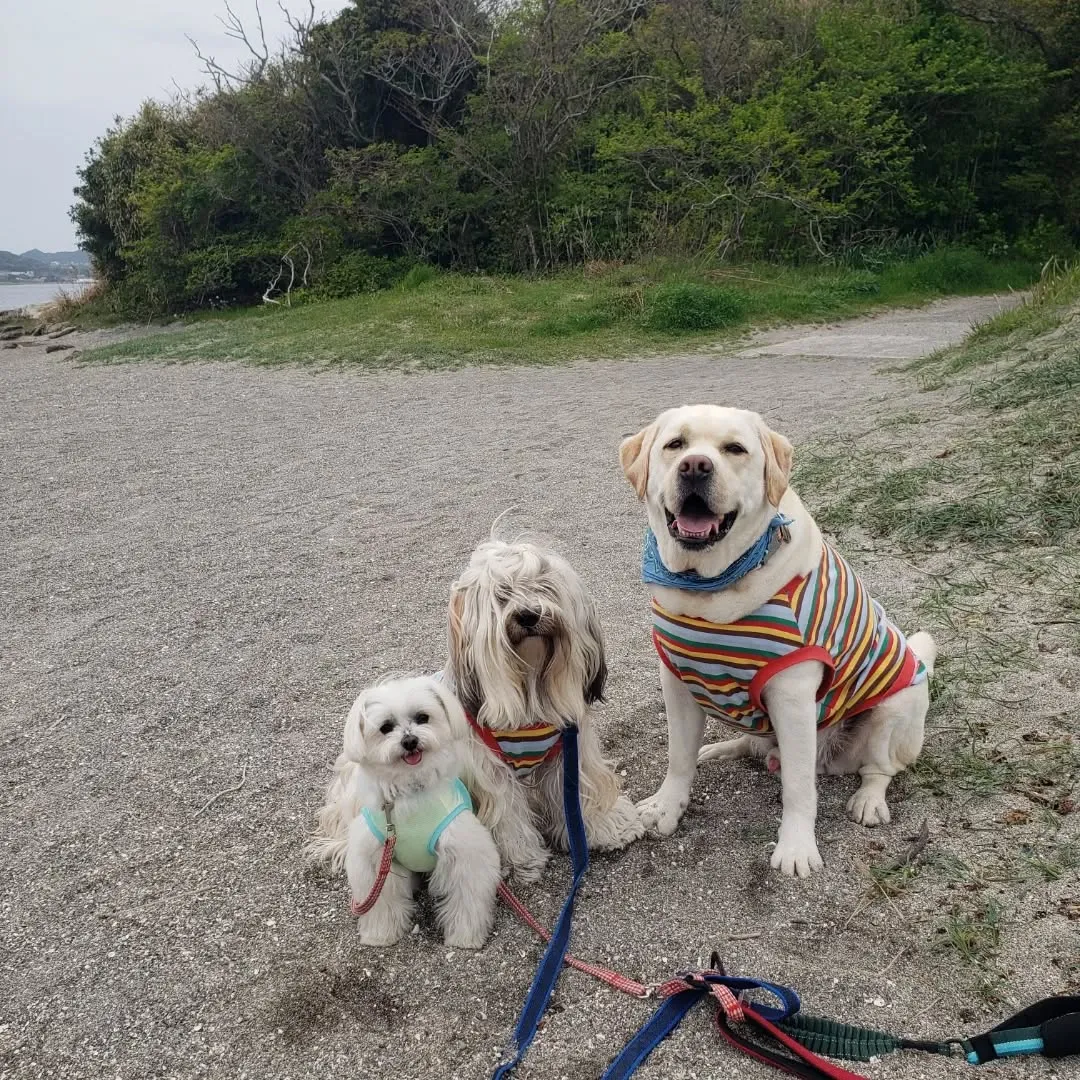 久しぶりの家族旅行。