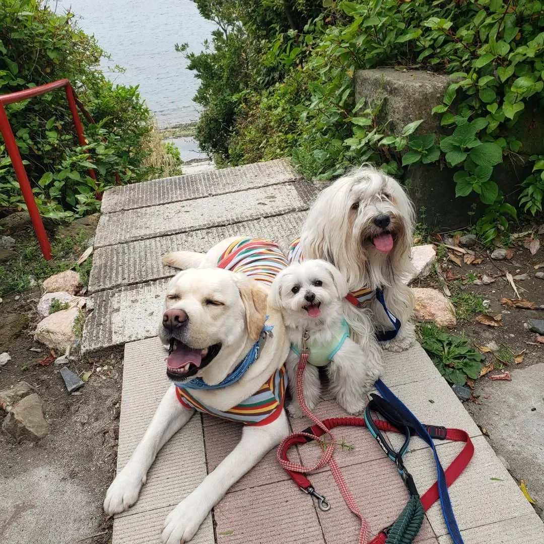 久しぶりの家族旅行。