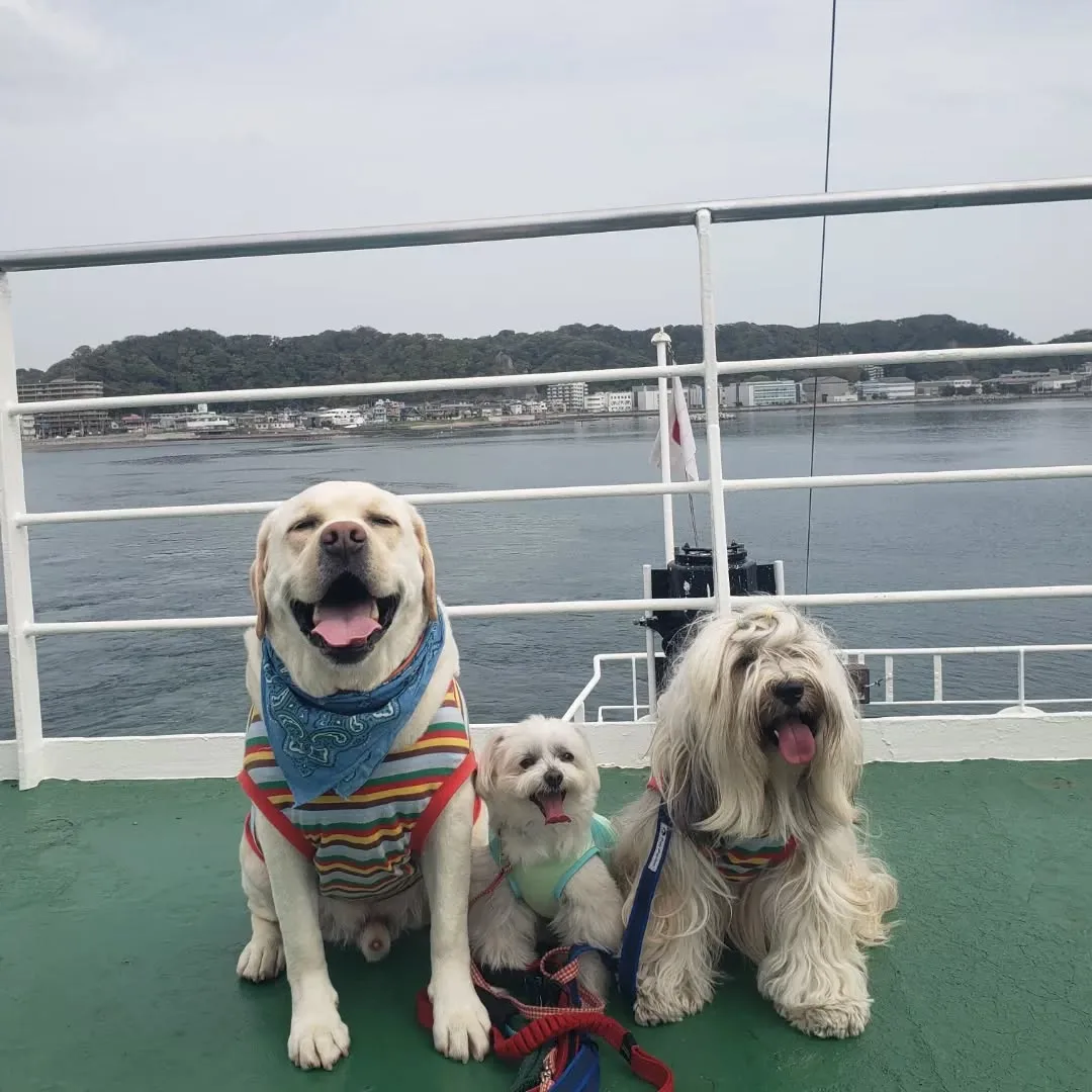 久しぶりの家族旅行。