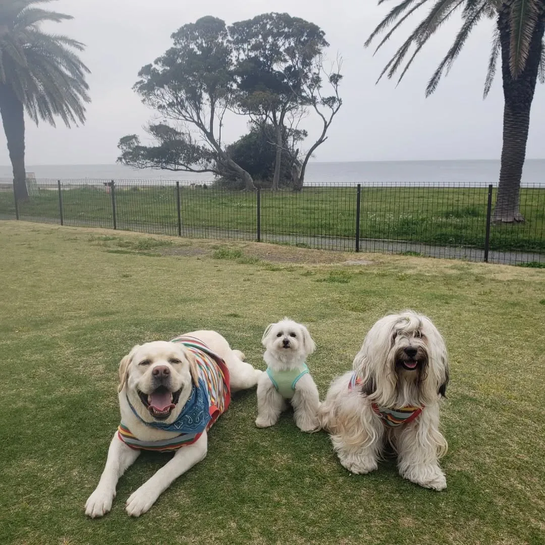 ホテルに到着してひと遊び💓