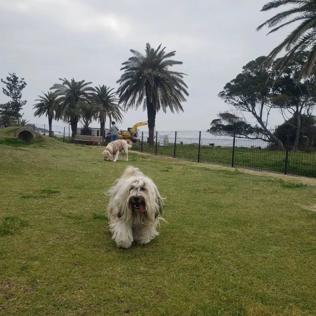 ホテルに到着してひと遊び💓