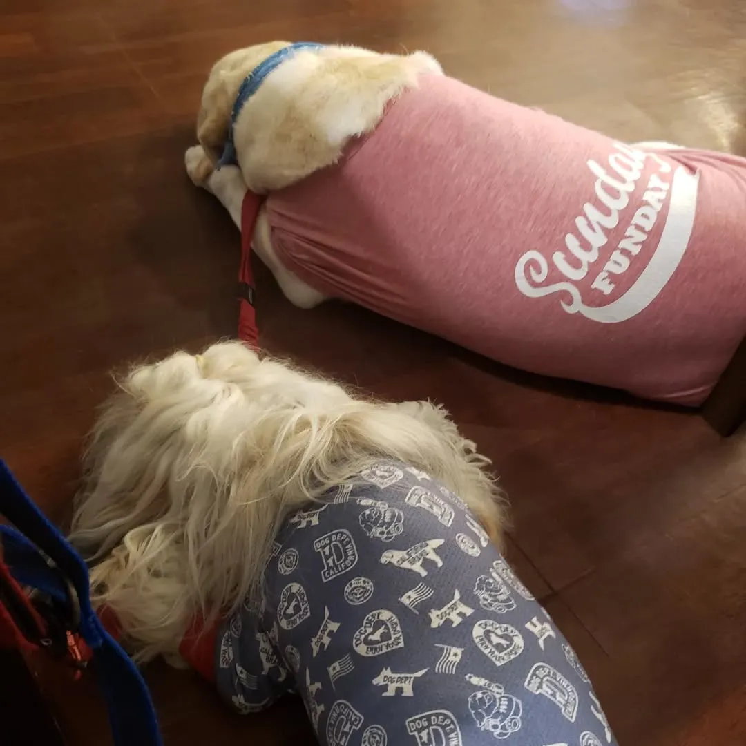 朝起きてお散歩行ってランでひと遊び💓