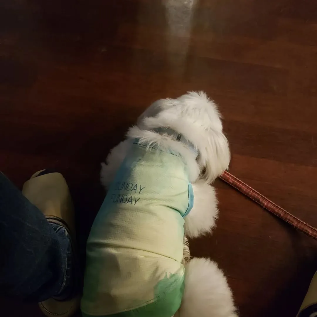 朝起きてお散歩行ってランでひと遊び💓