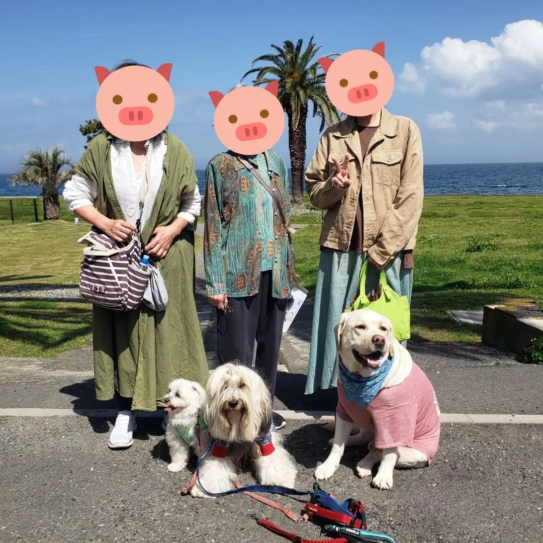 朝起きてお散歩行ってランでひと遊び💓