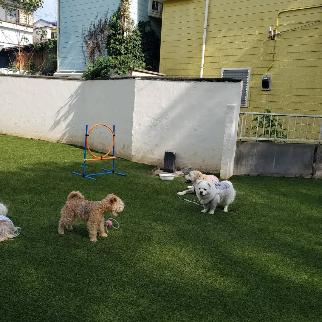 初夏のようなお天気になりました😊