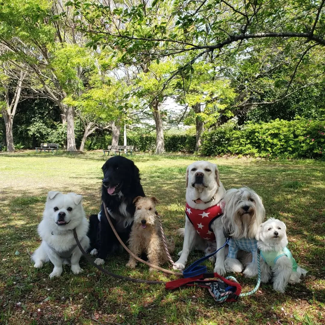 初夏のようなお天気になりました😊