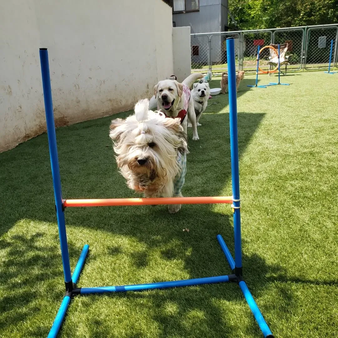 初夏のようなお天気になりました😊