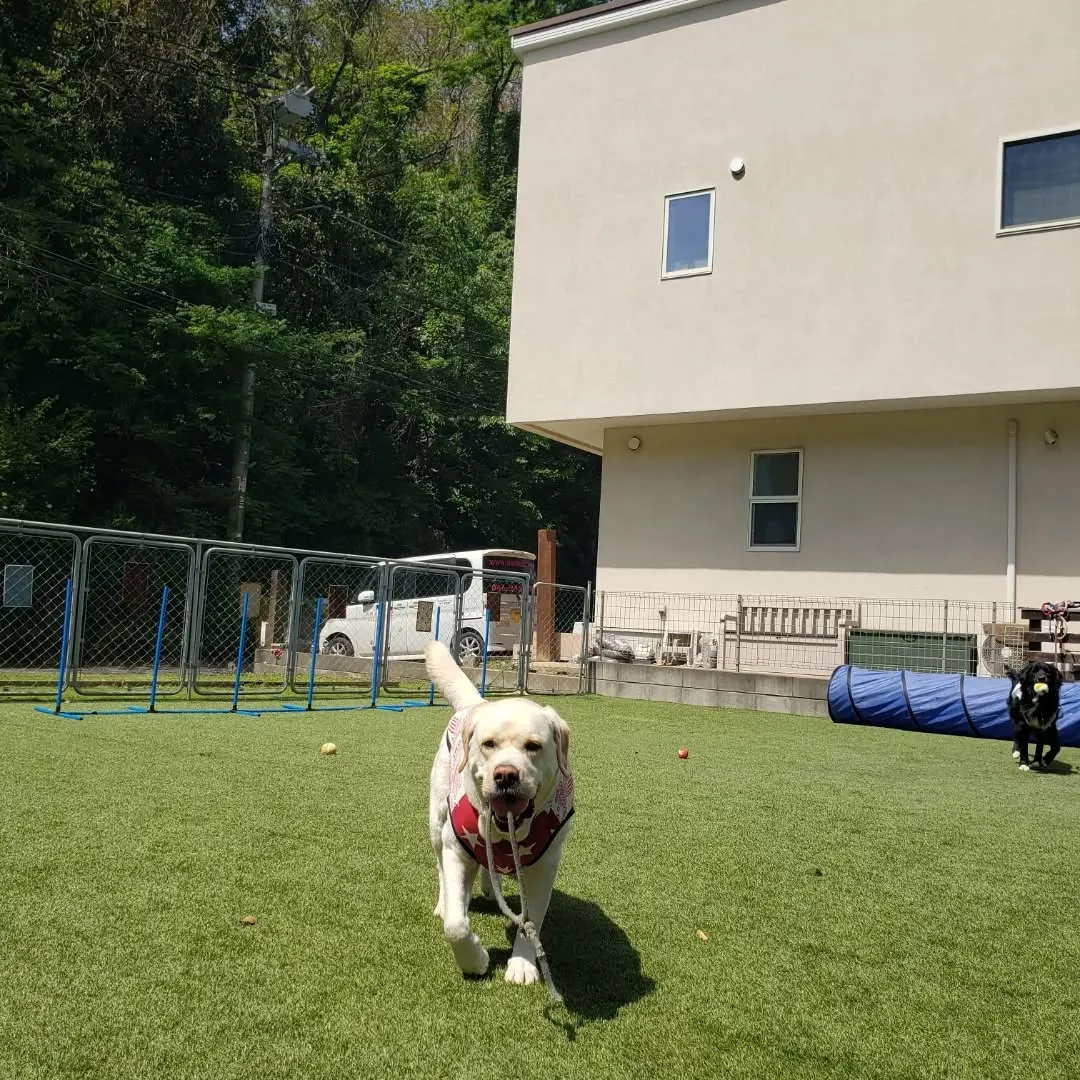 初夏のようなお天気になりました😊