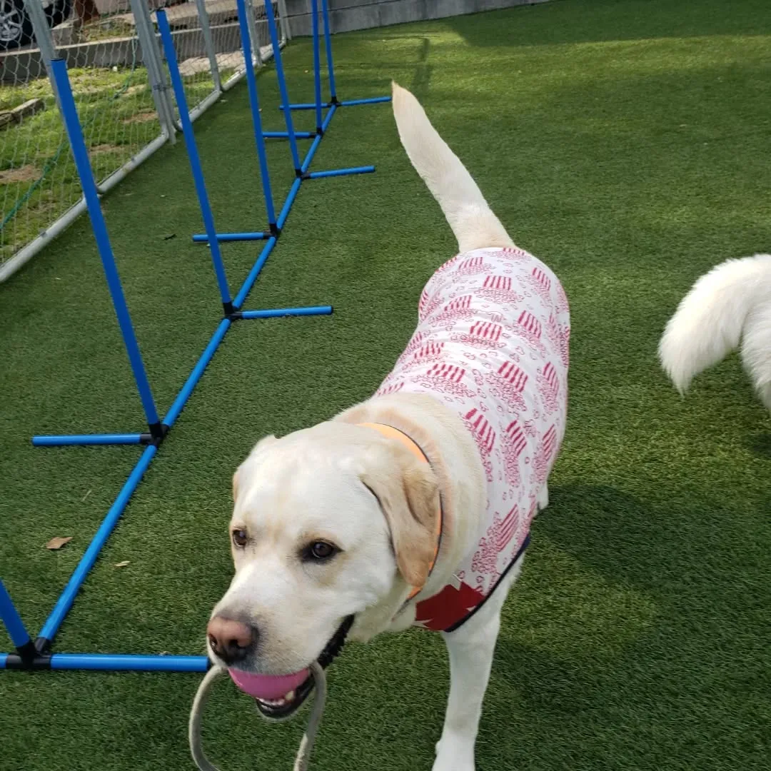 初夏のようなお天気になりました😊