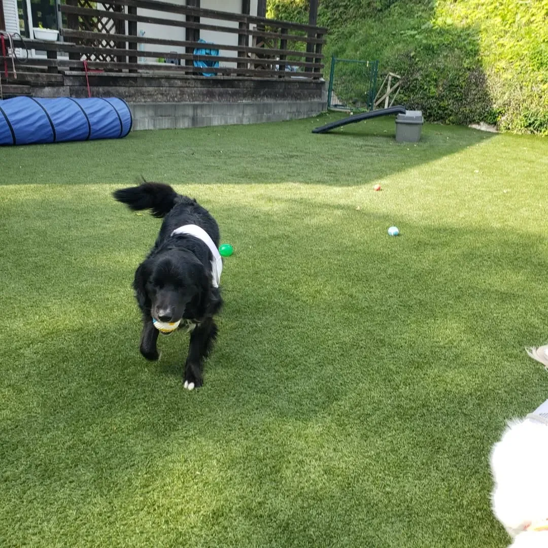 初夏のようなお天気になりました😊