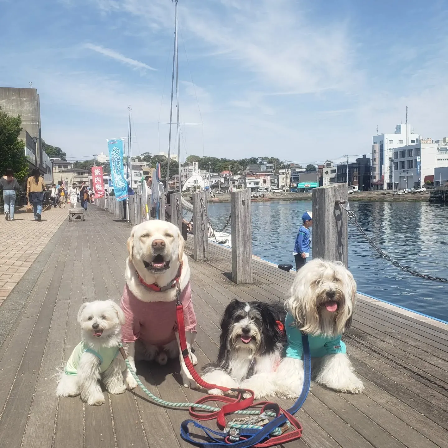 公園の桜もほとんど終わり一部だけ残っていたのでその前でパチリ...