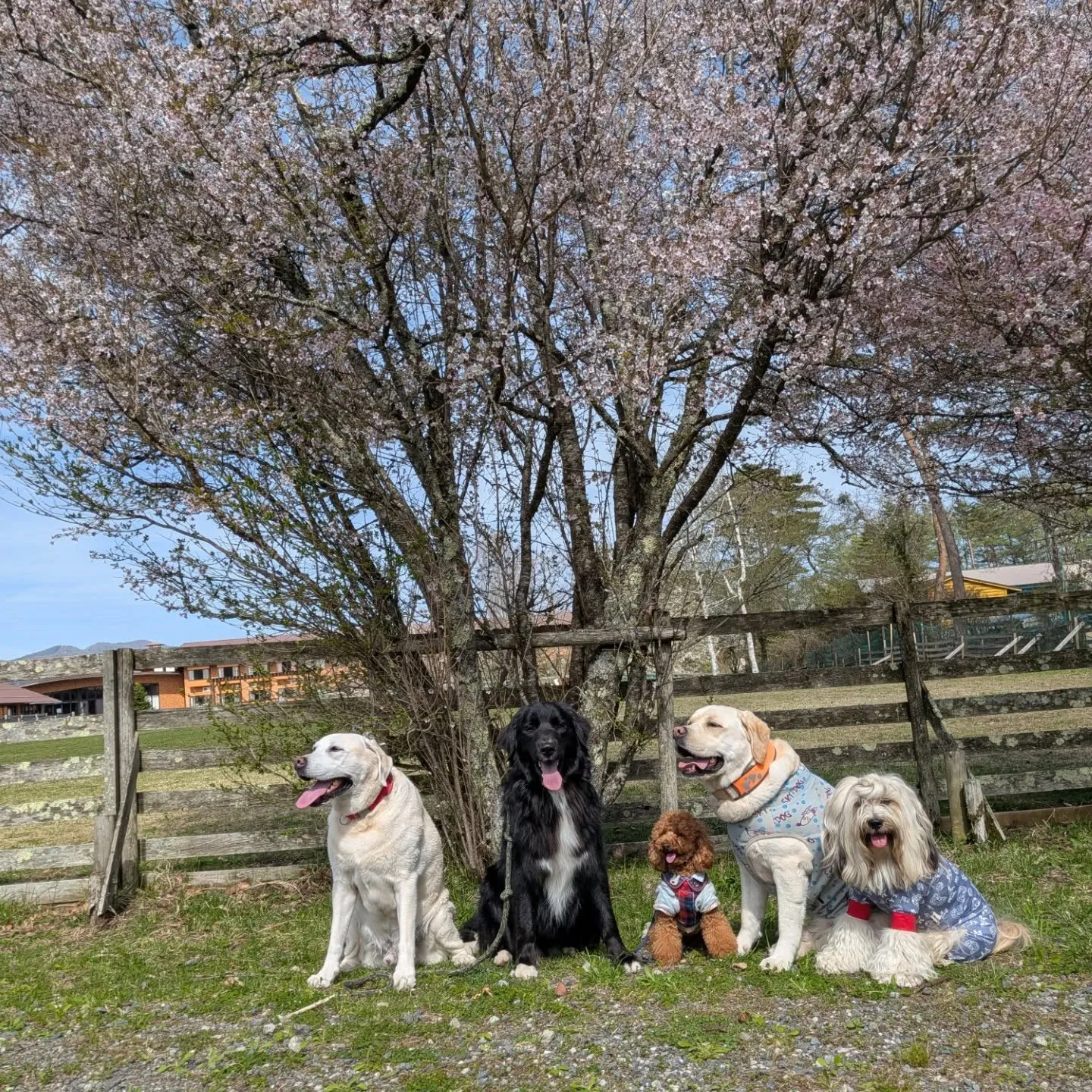 みんなで山中湖へ😀