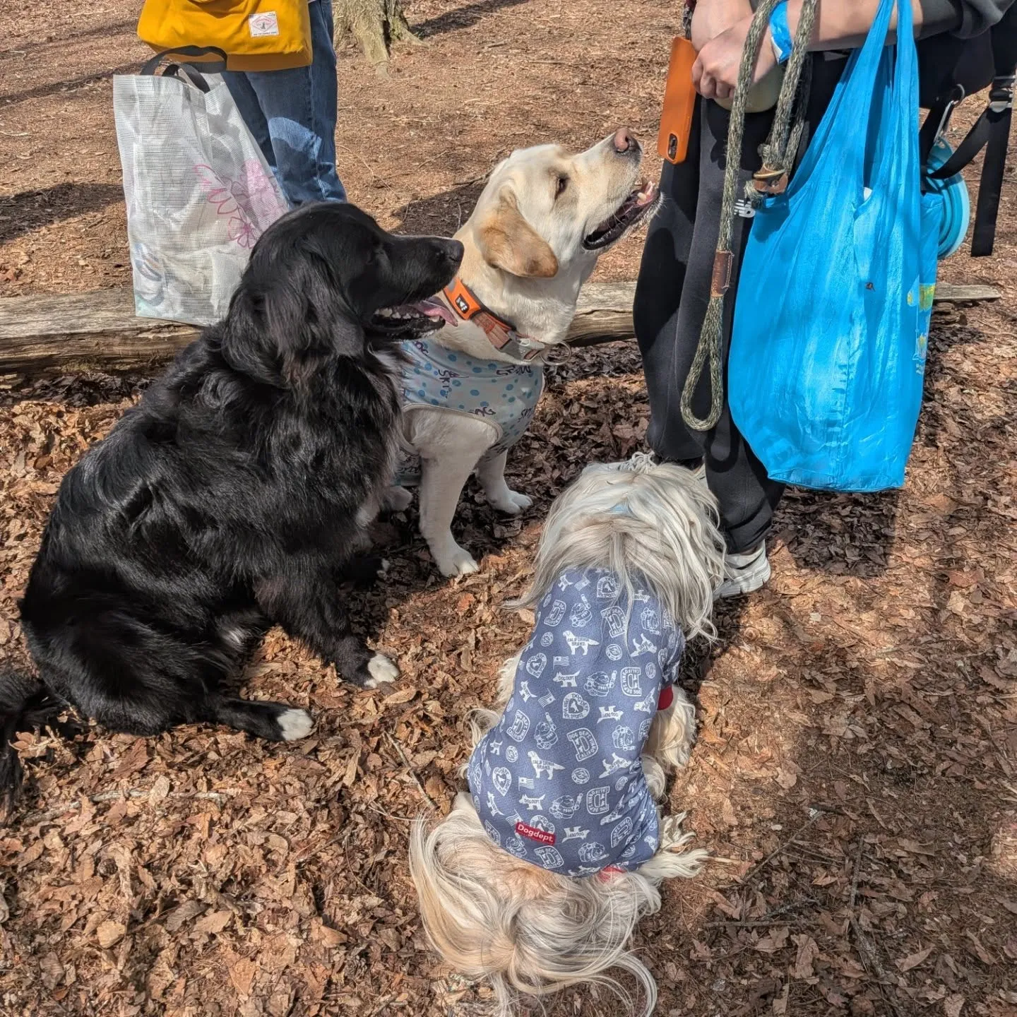 みんなで山中湖へ😀