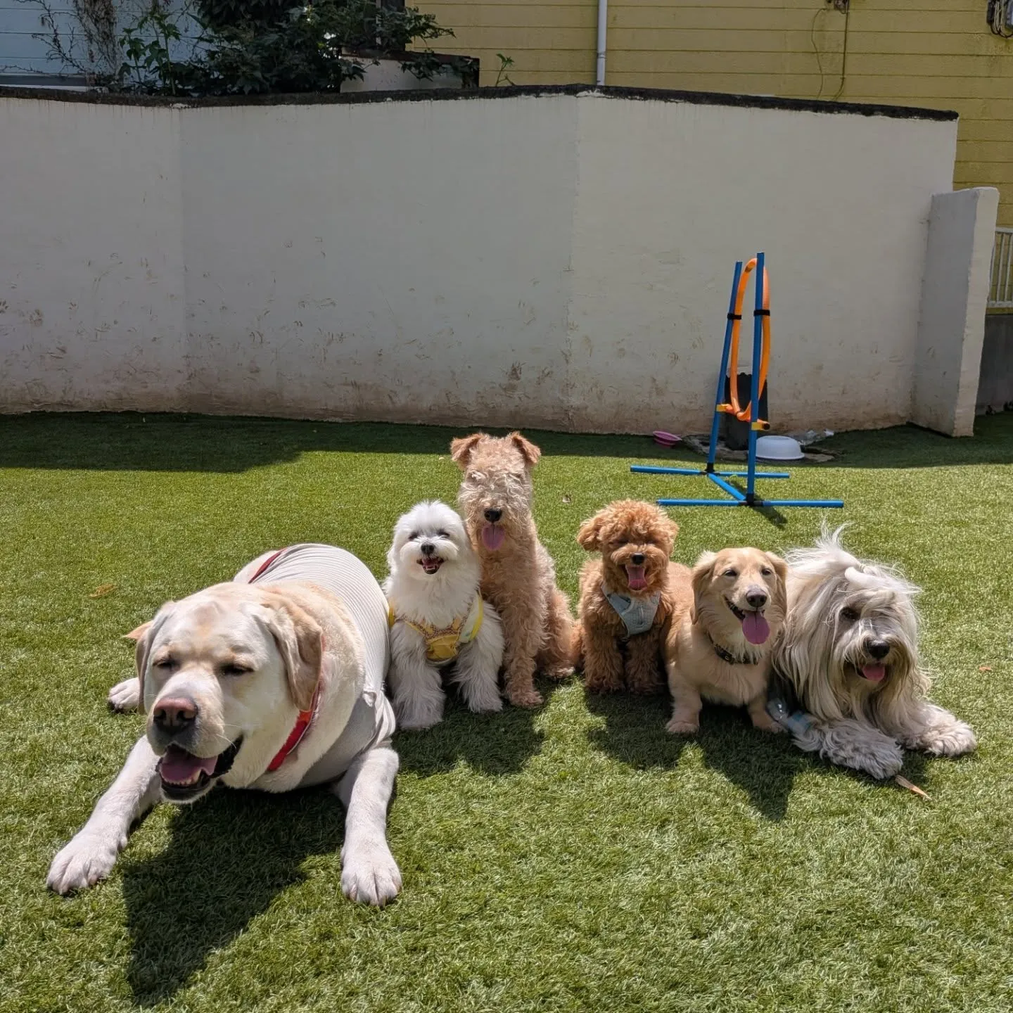 お天気が良くて暑いくらいになりました😅