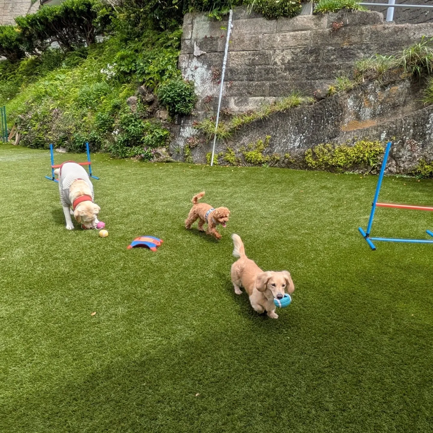 お天気が良くて暑いくらいになりました😅