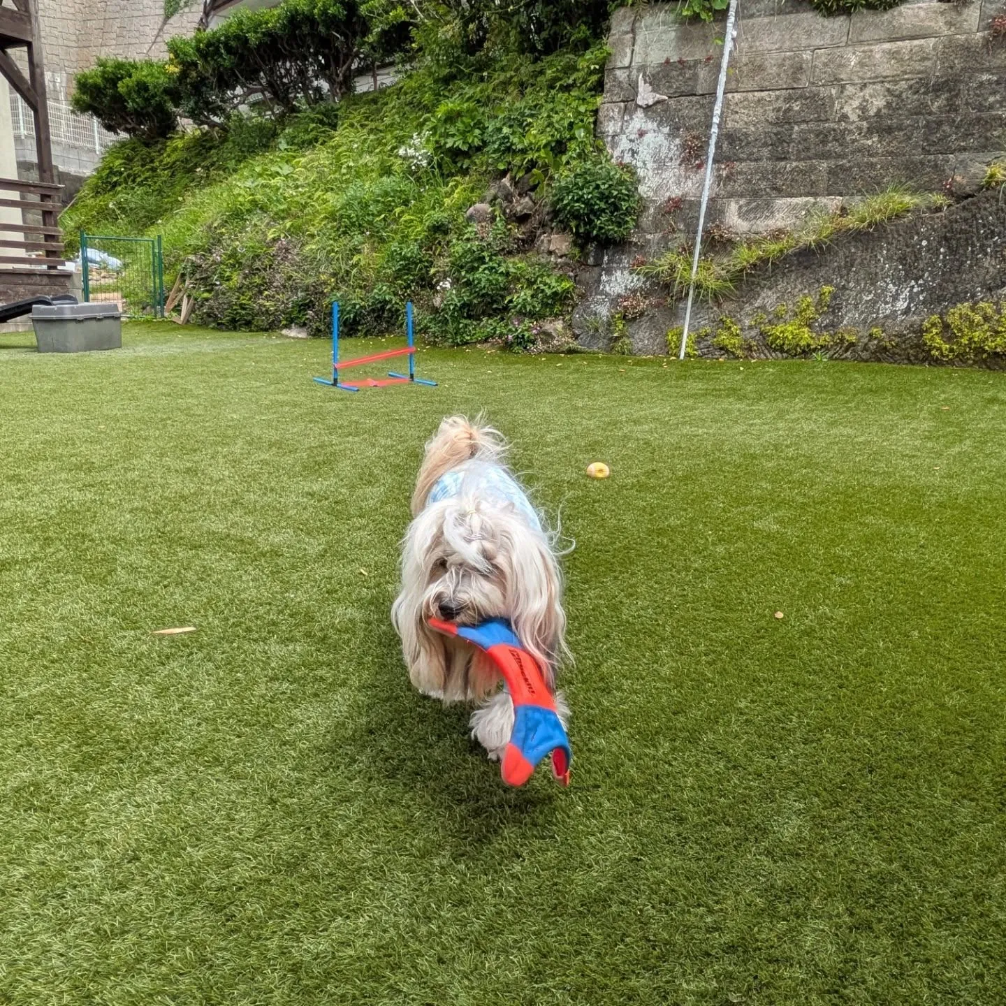 お天気が良くて暑いくらいになりました😅