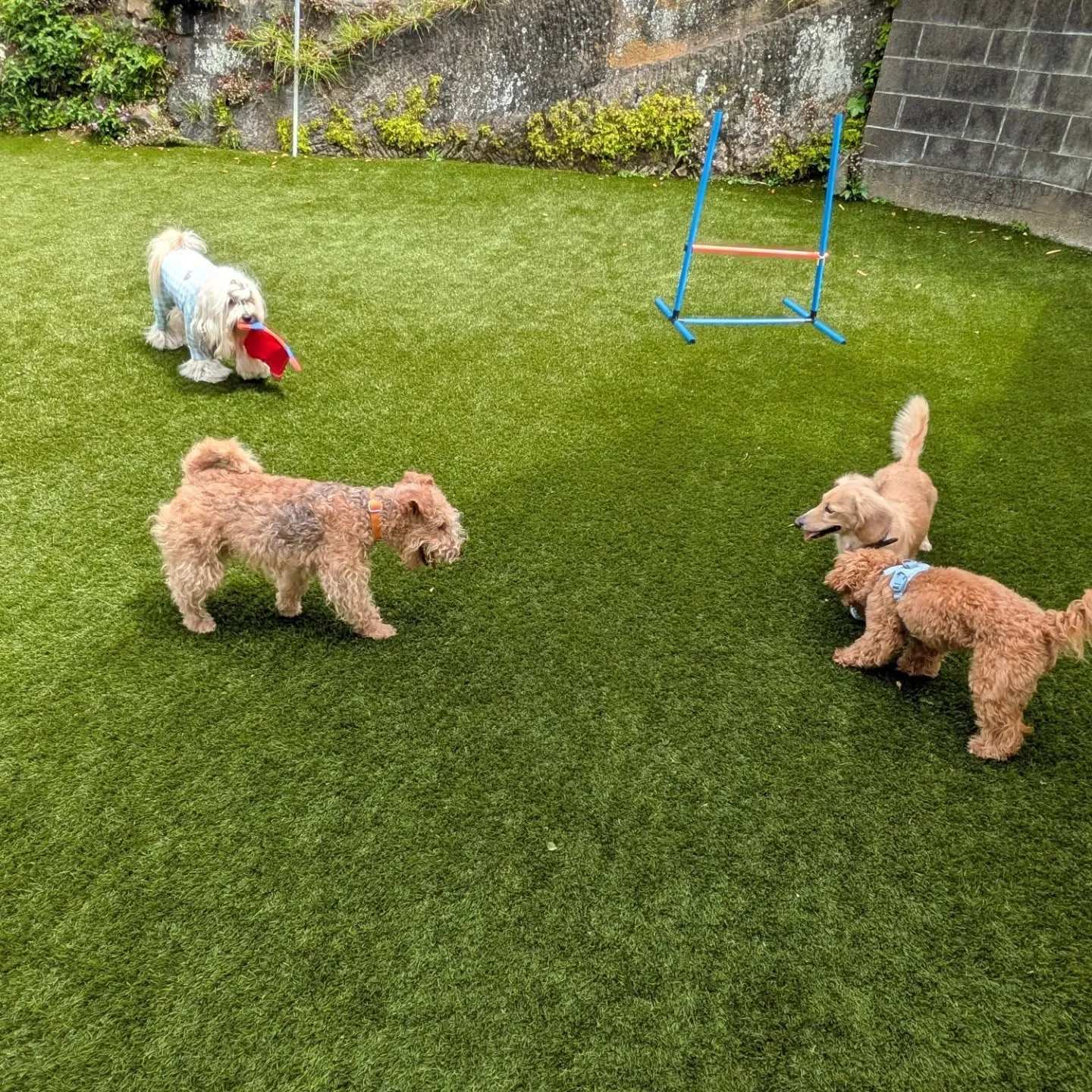 お天気が良くて暑いくらいになりました😅