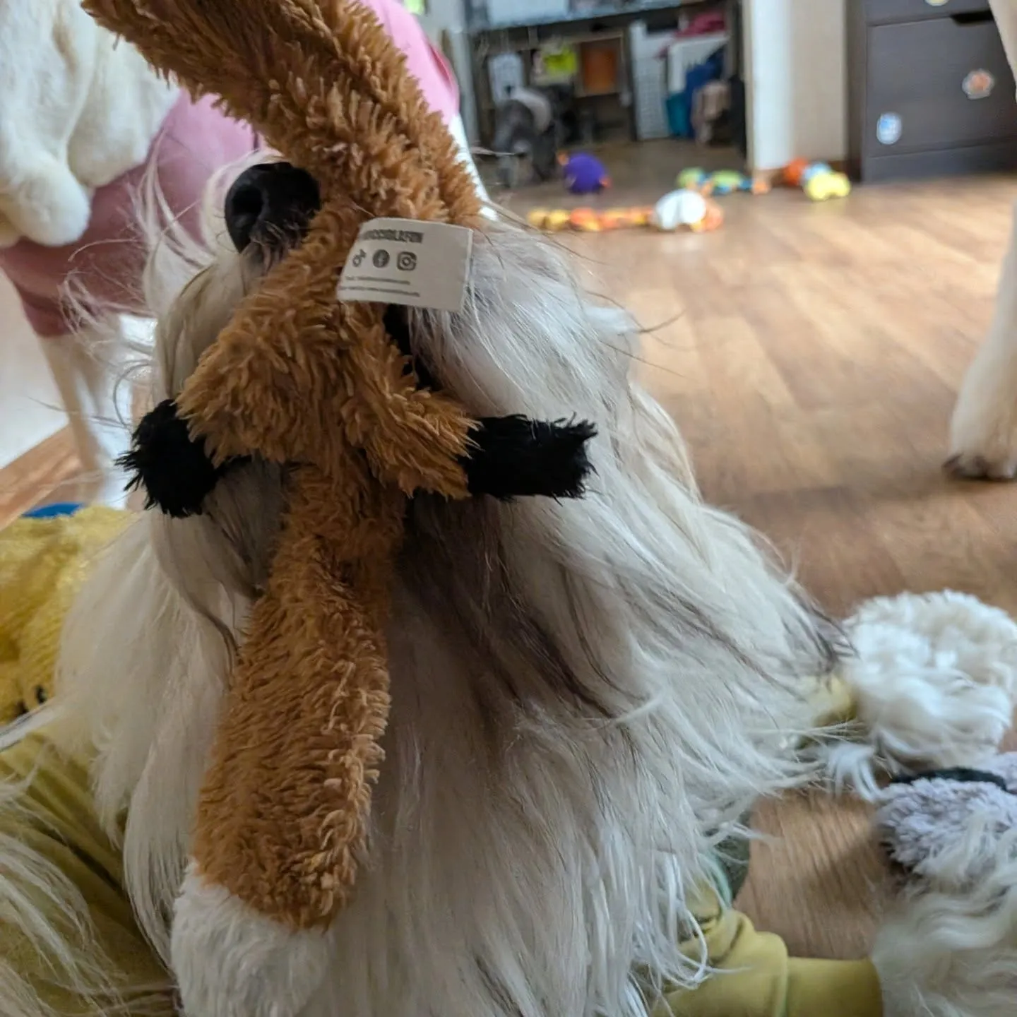 朝少しの間降ってなかったのでランで遊びました😄