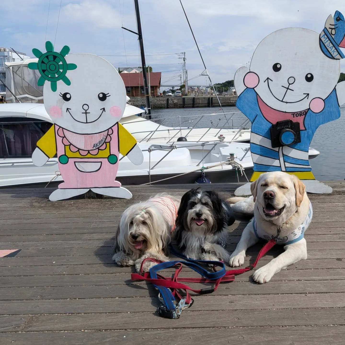 三崎までお散歩へ🎵