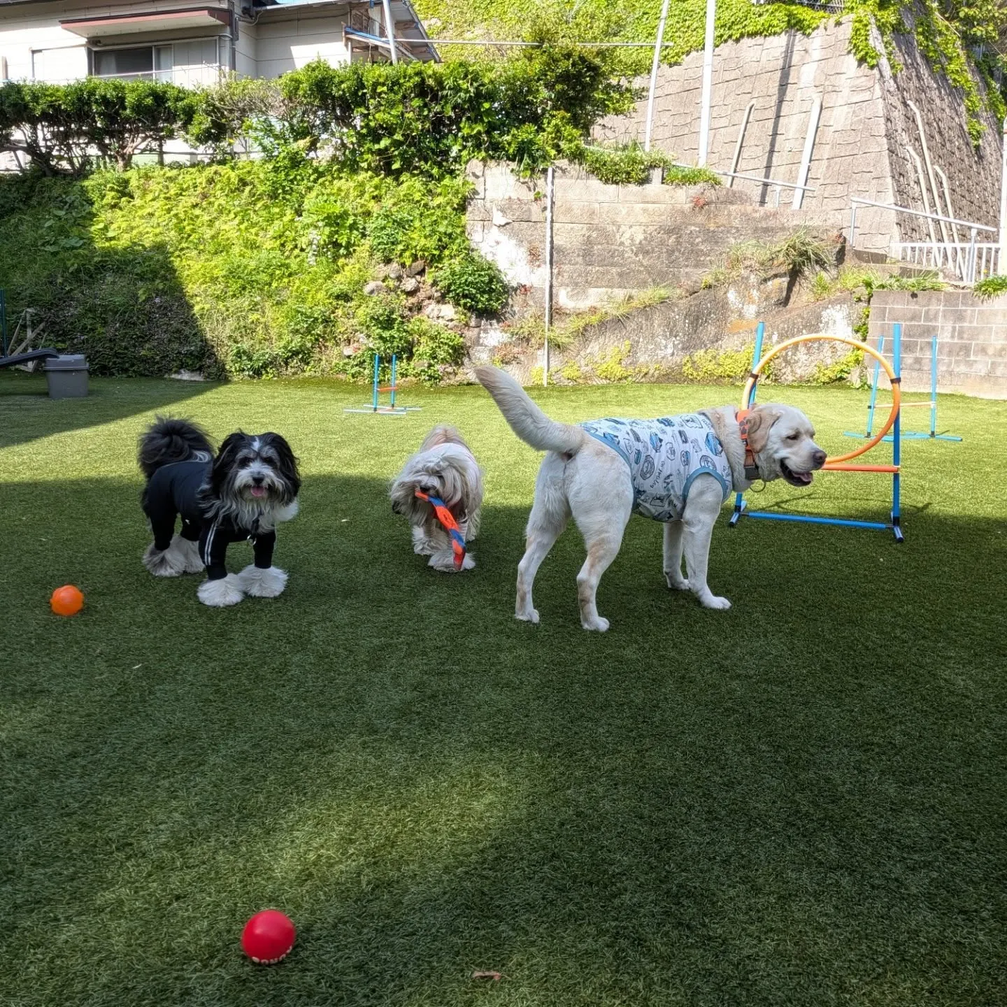 三崎までお散歩へ🎵