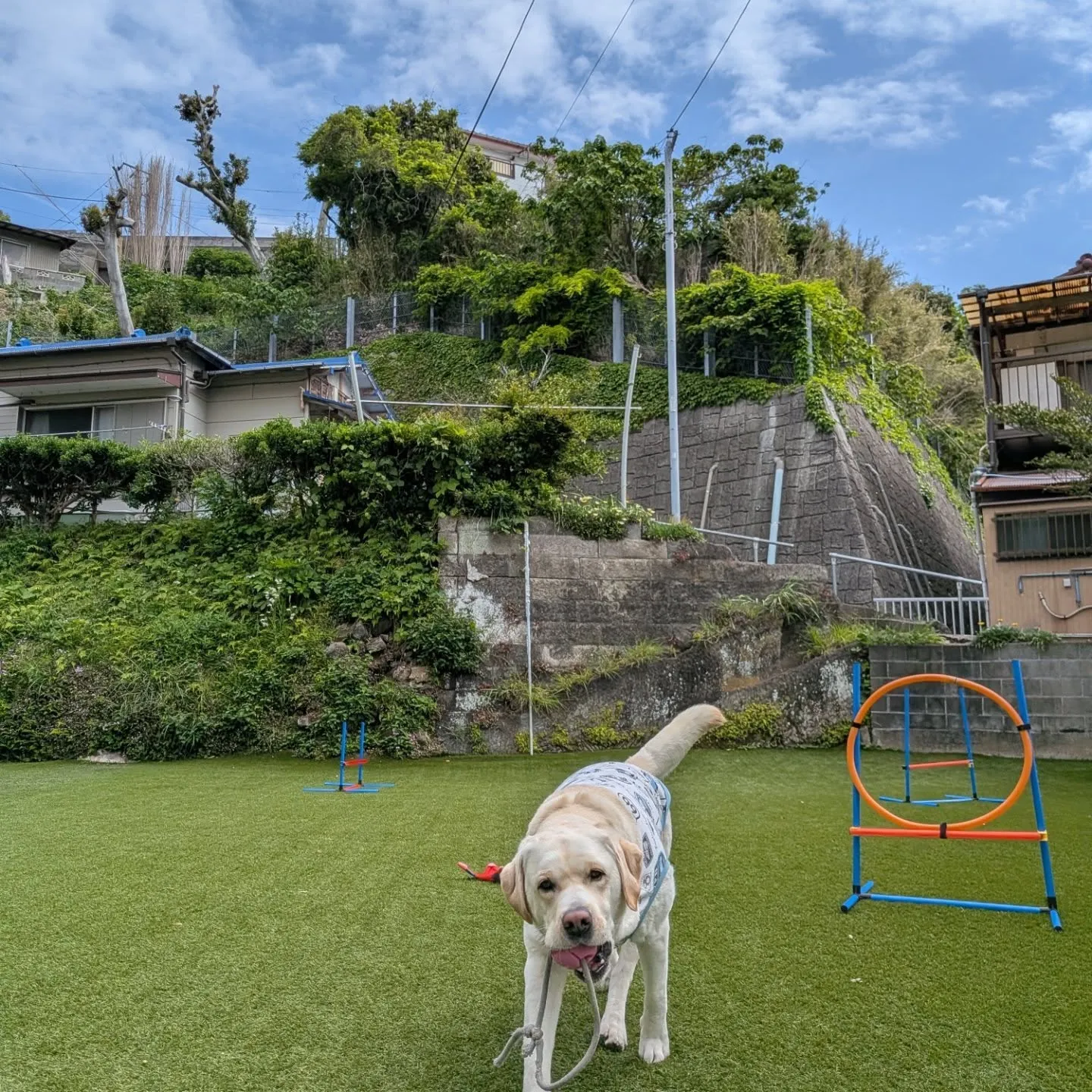 三崎までお散歩へ🎵