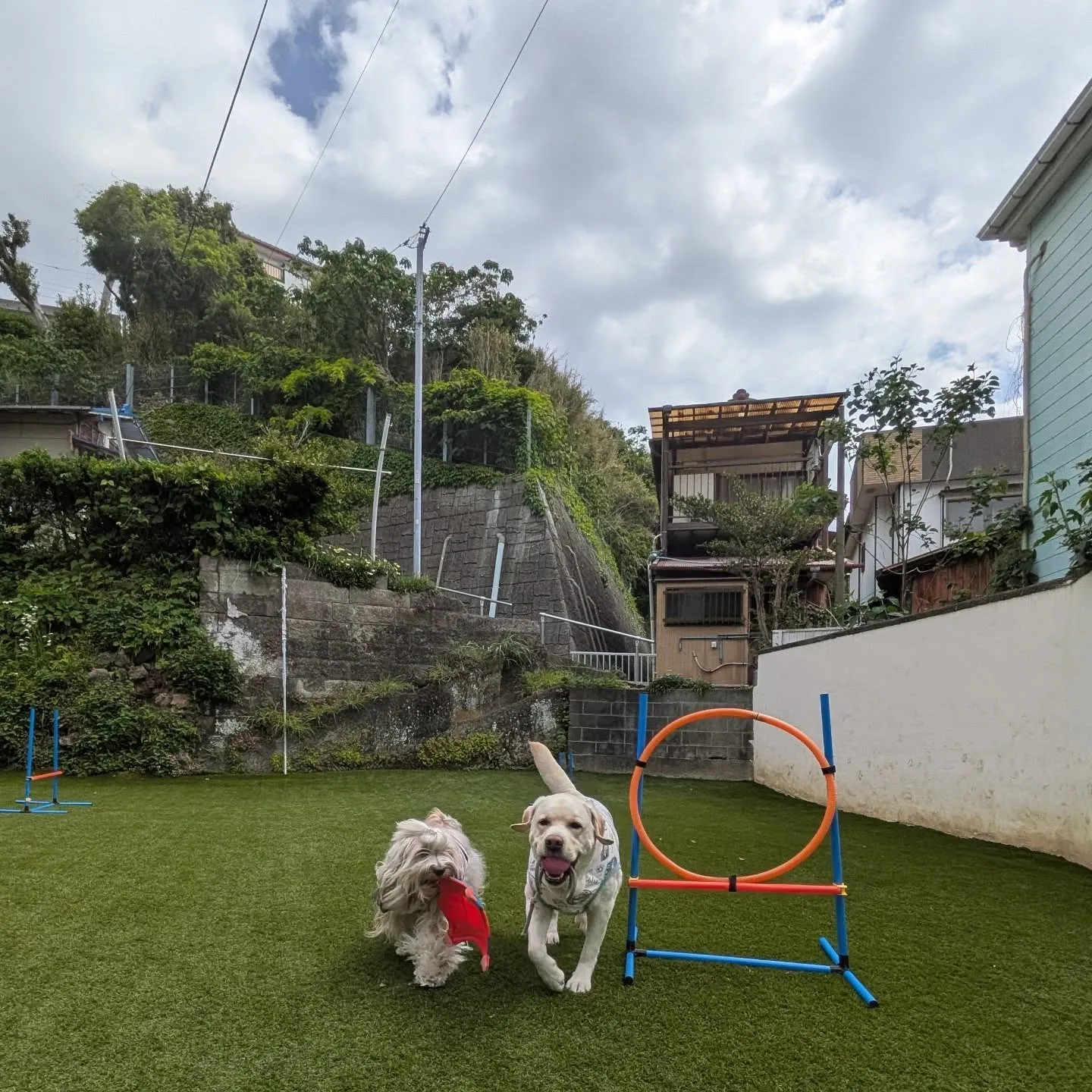 三崎までお散歩へ🎵