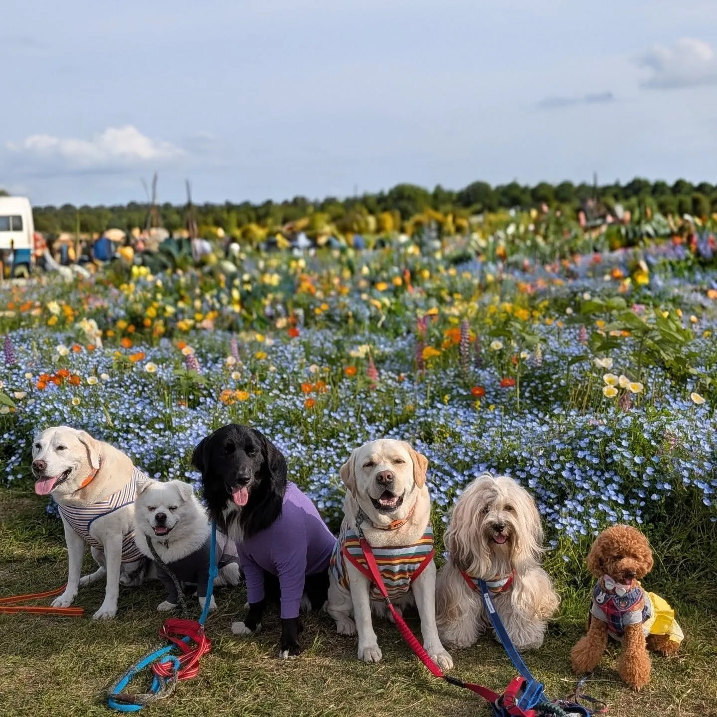 みんなでソレイユの丘行ってきました😄💓