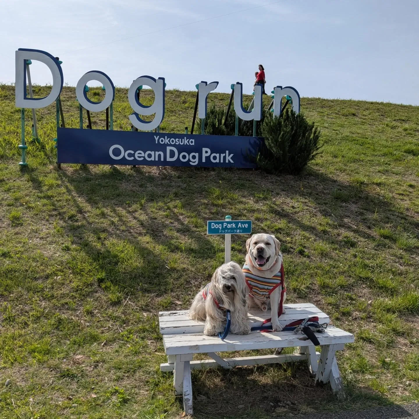 みんなでソレイユの丘行ってきました😄💓