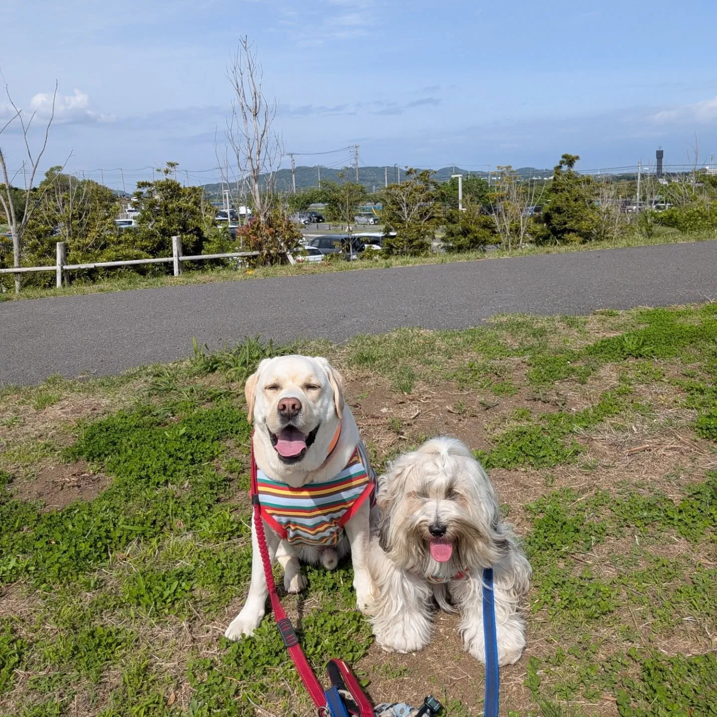 みんなでソレイユの丘行ってきました😄💓