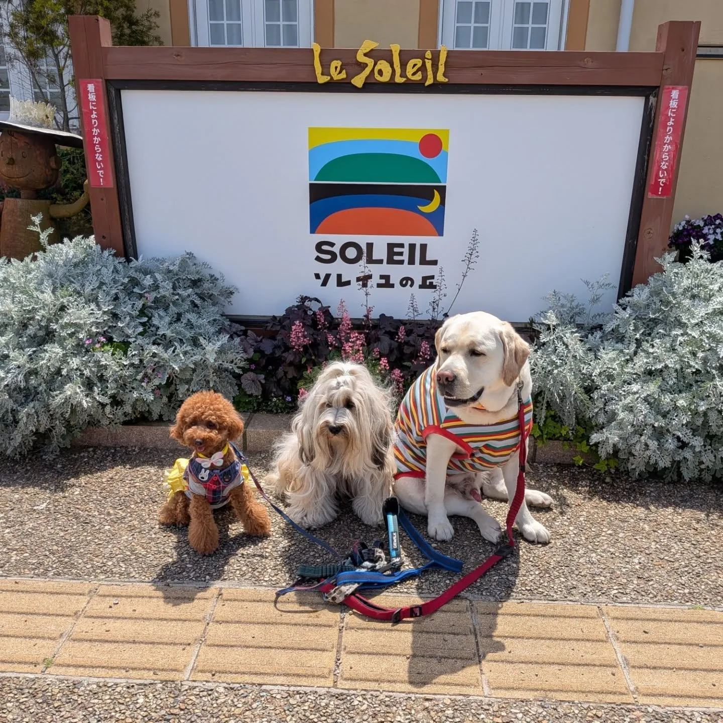 みんなでソレイユの丘行ってきました😄💓