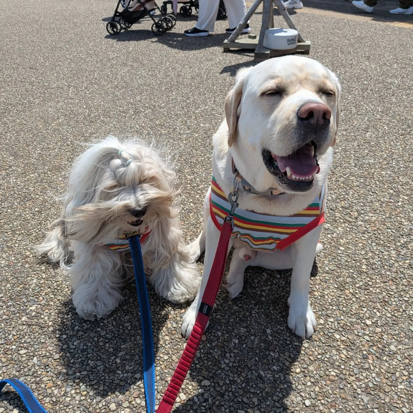 みんなでソレイユの丘行ってきました😄💓