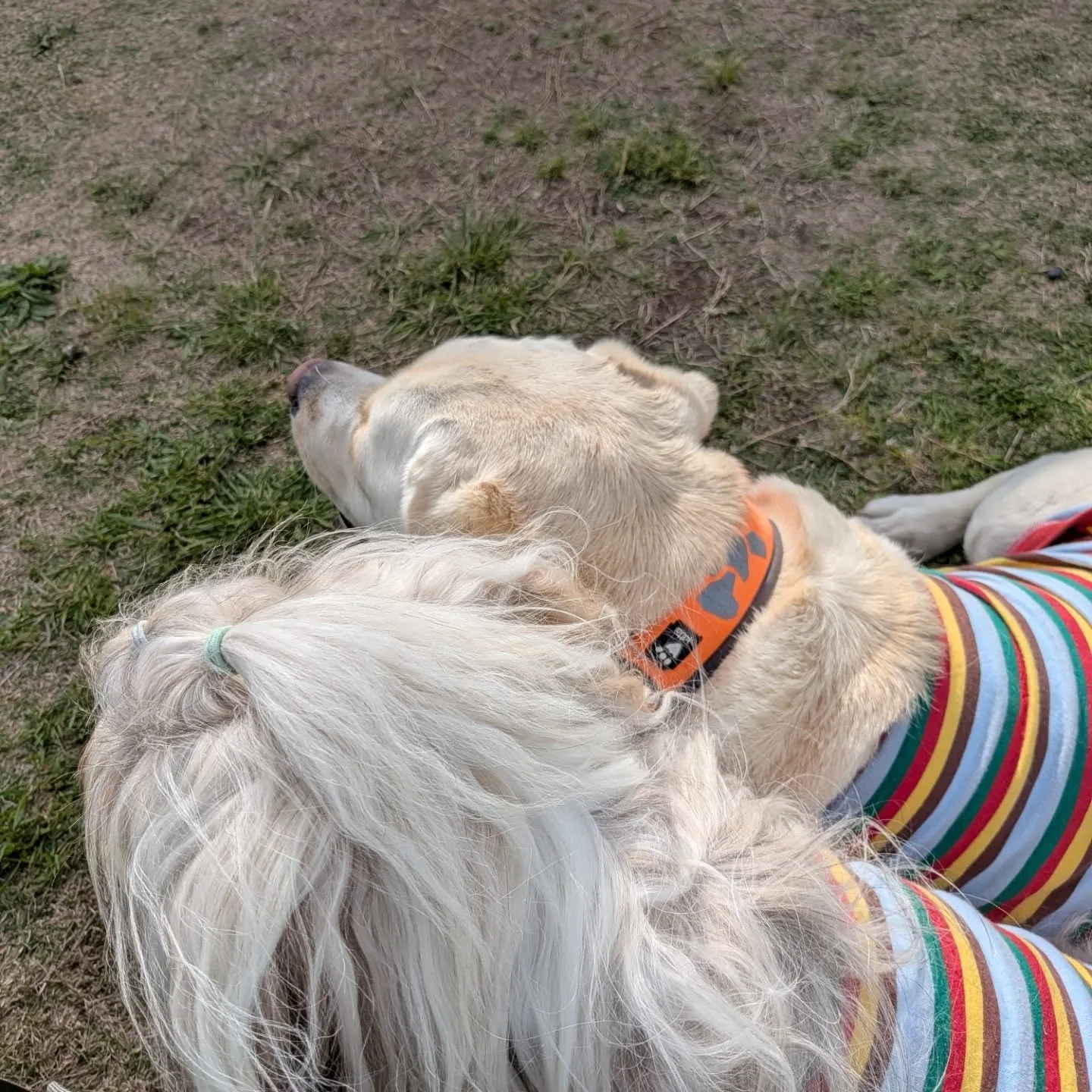 みんなでソレイユの丘行ってきました😄💓