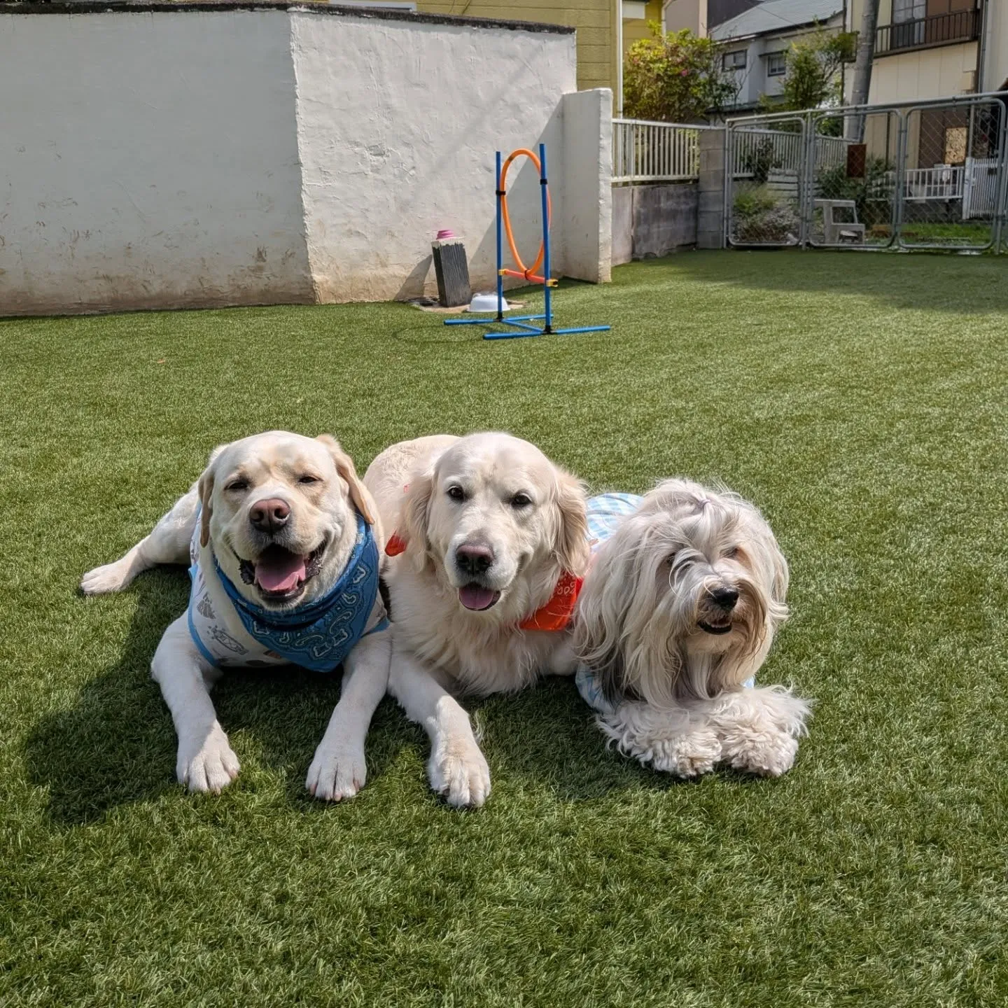 良いお天気になりました😊