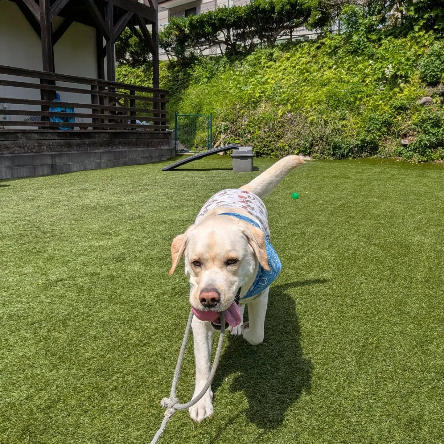 良いお天気になりました😊