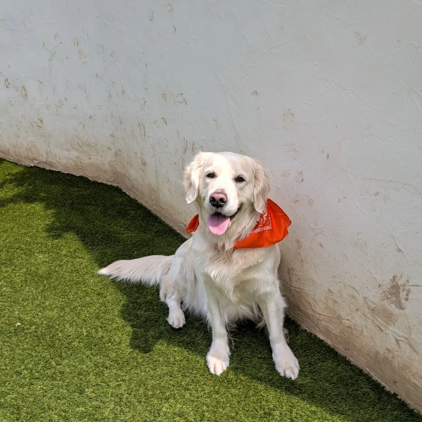 良いお天気になりました😊