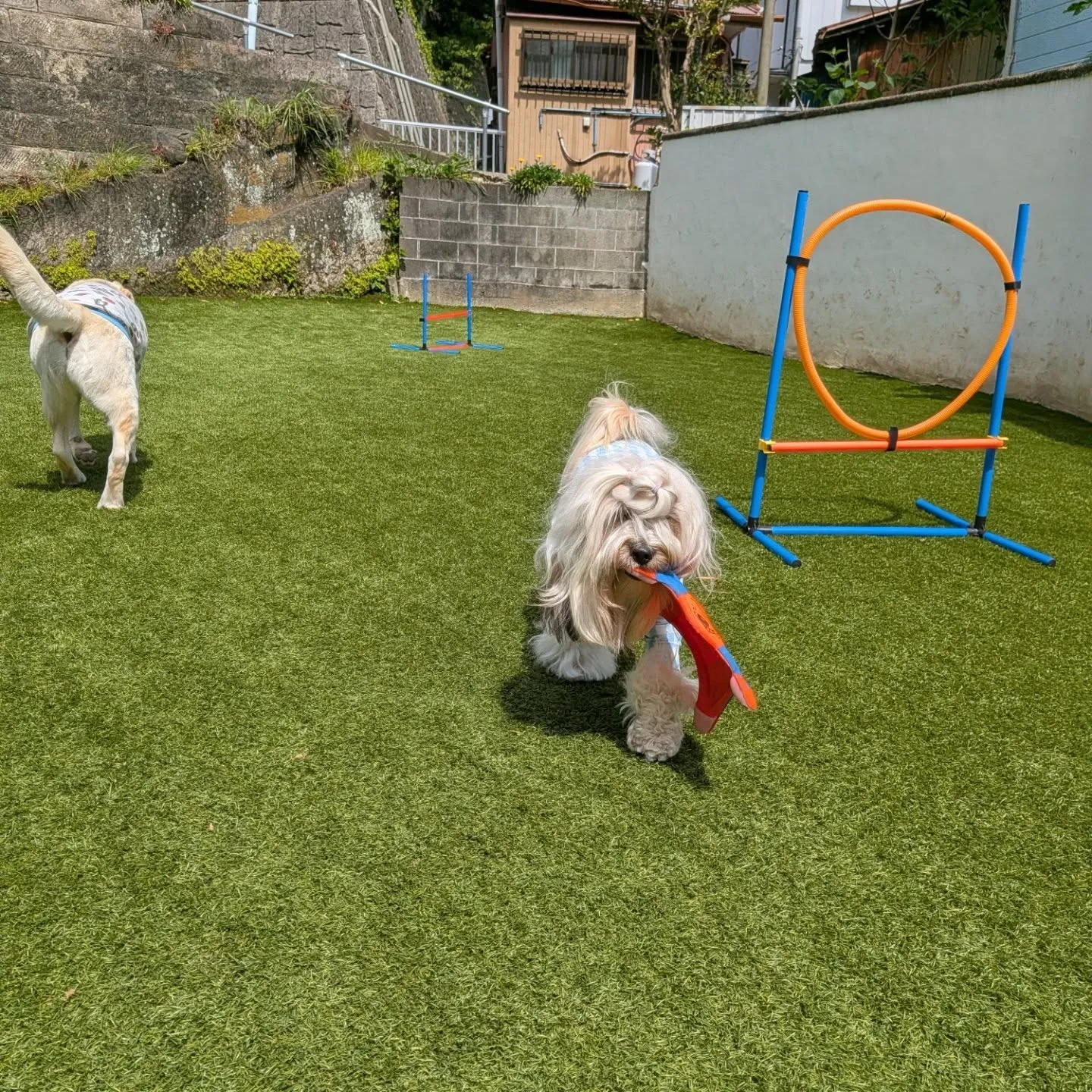 良いお天気になりました😊