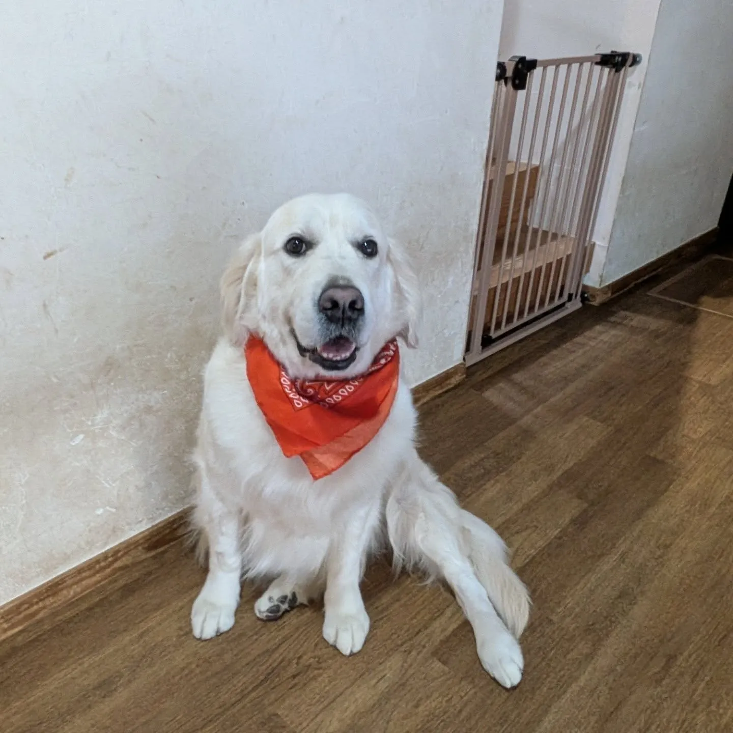 良いお天気になりました😊