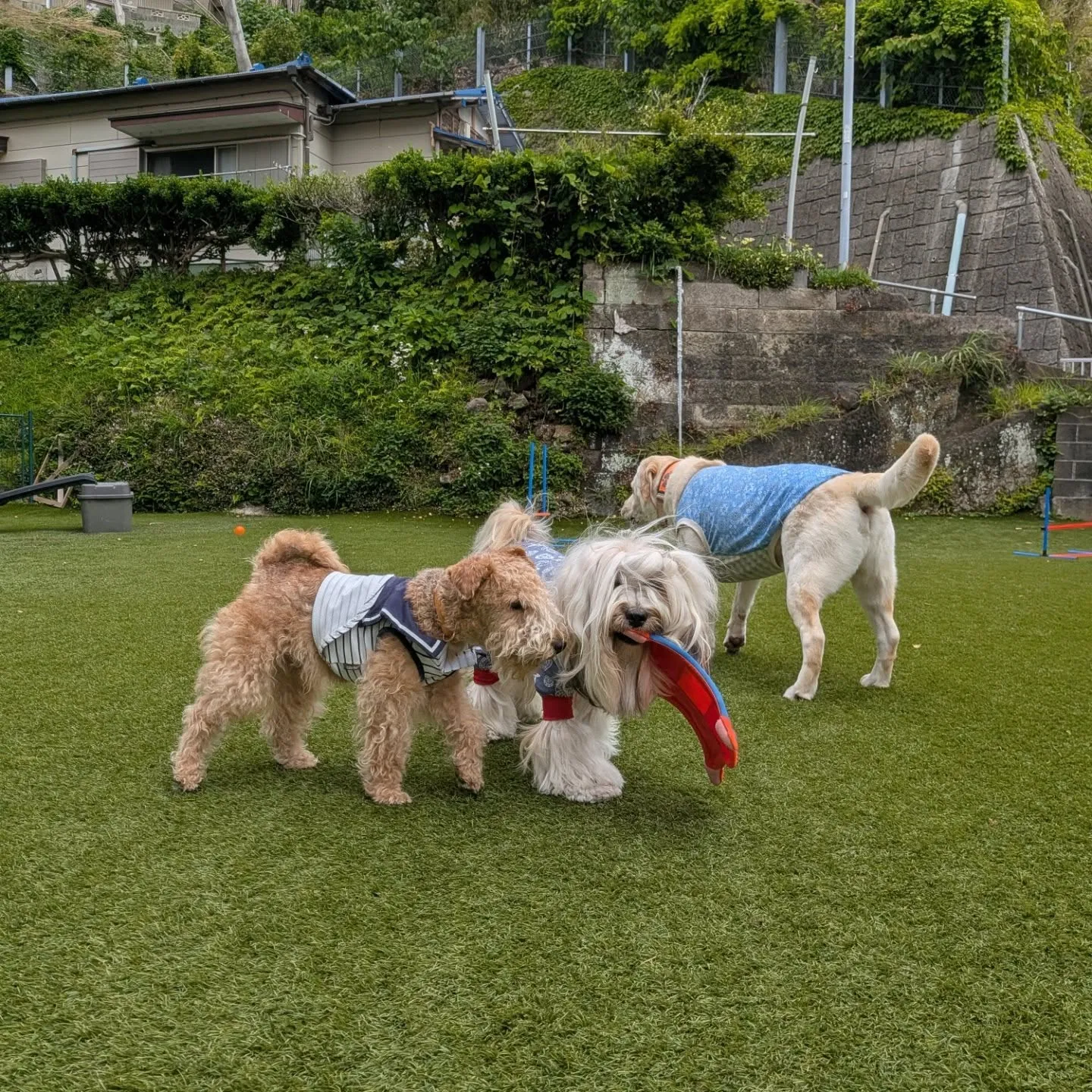 良いお天気でなにより😊