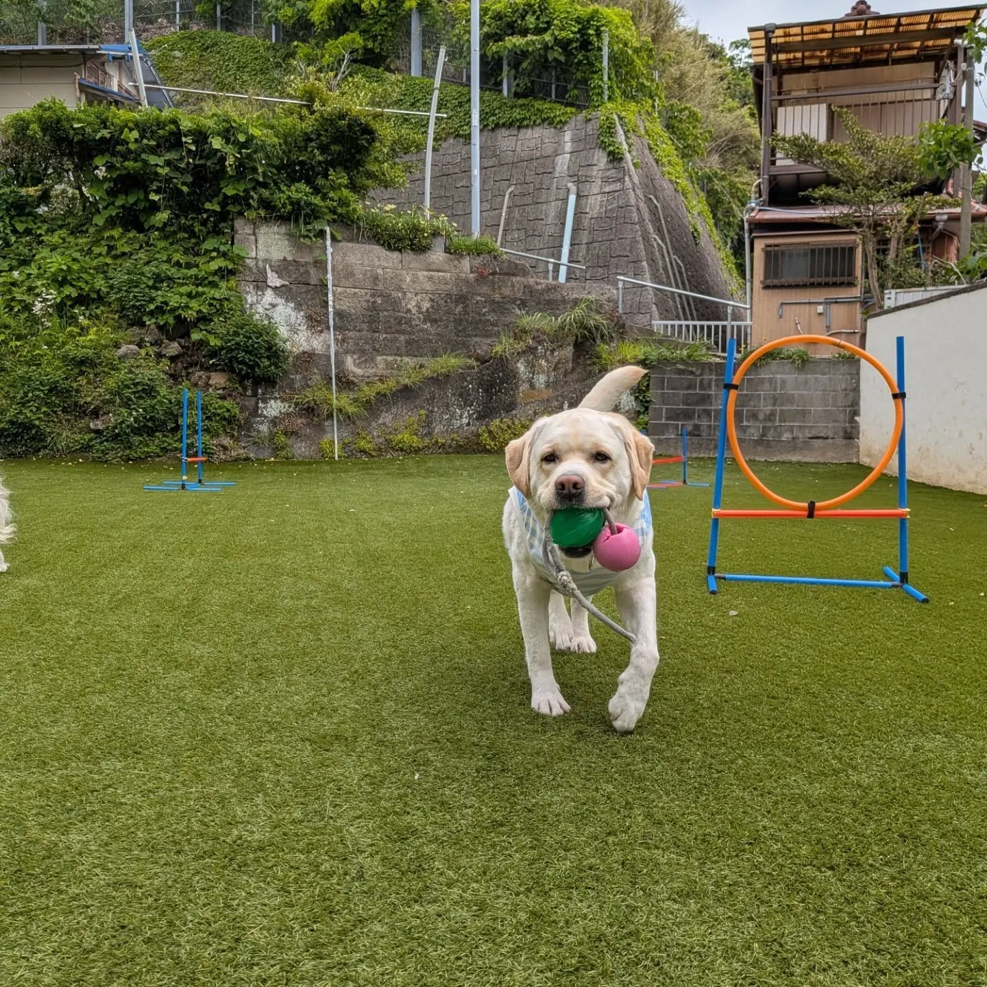 良いお天気でなにより😊
