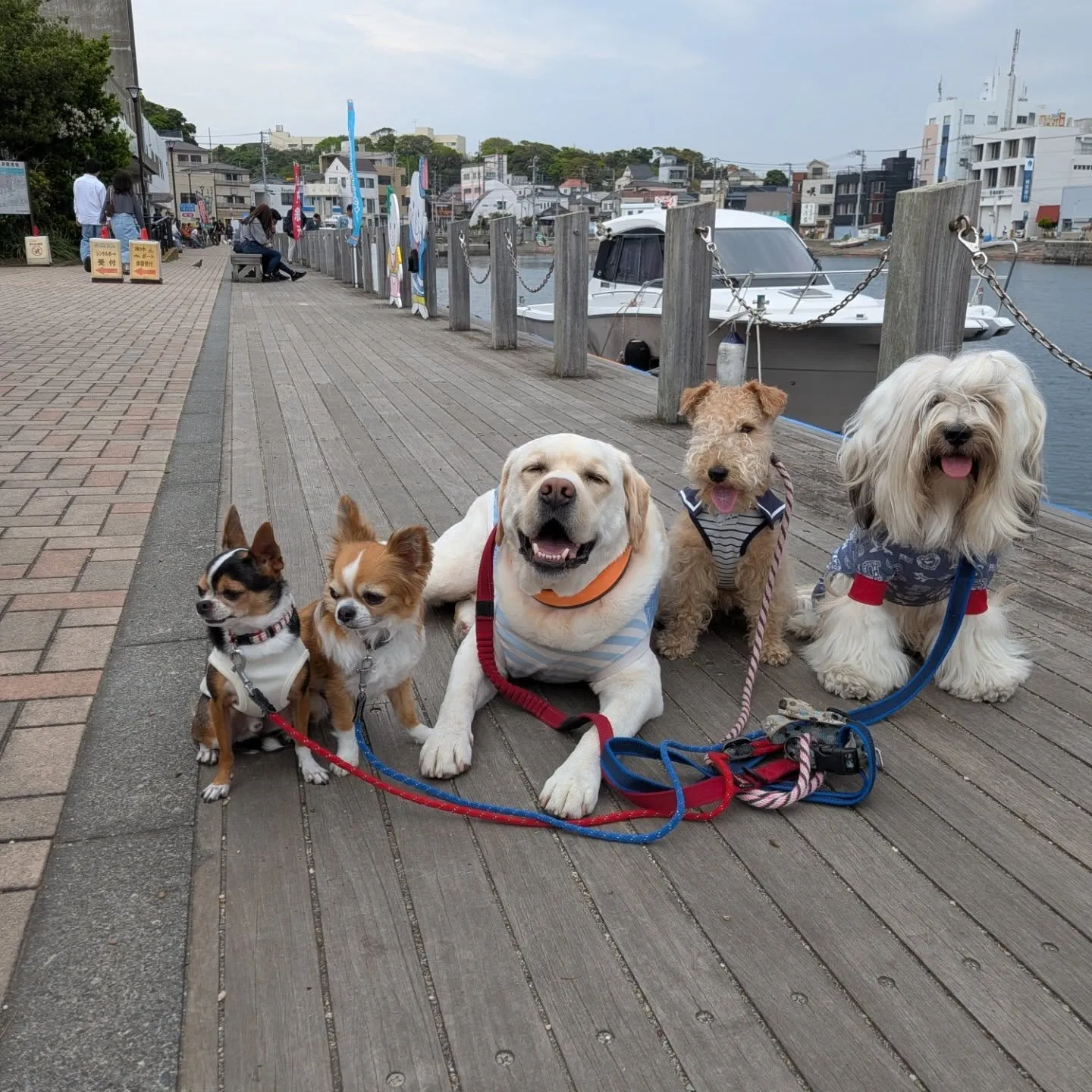 良いお天気でなにより😊