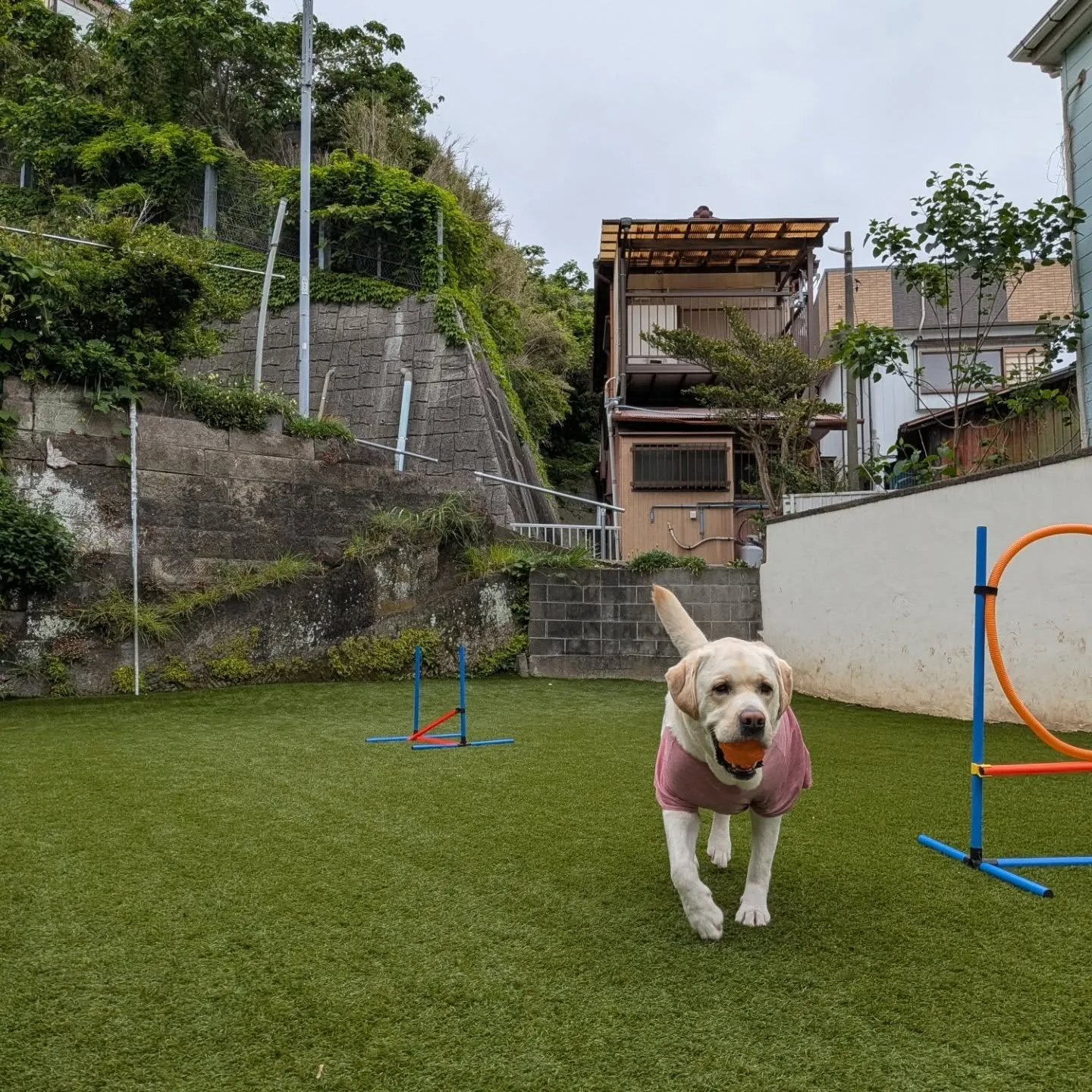 ランで遊ぶ2ぴき💕