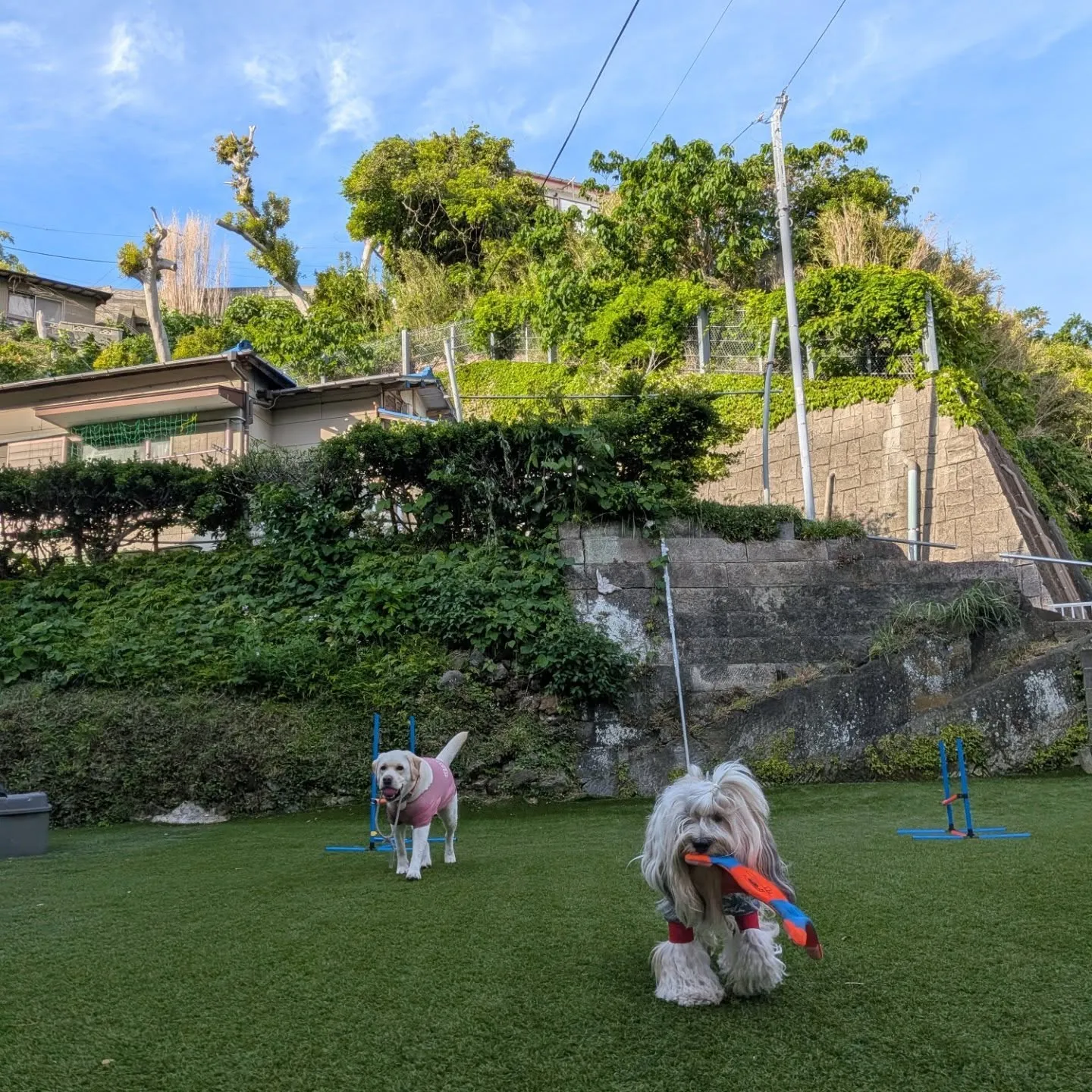 三浦海岸へ🎵