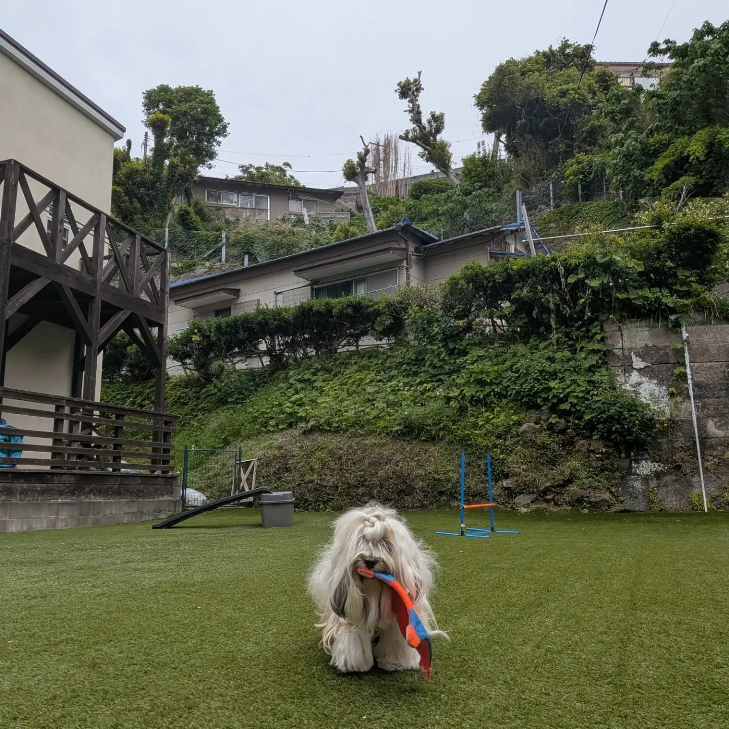GW最後の日