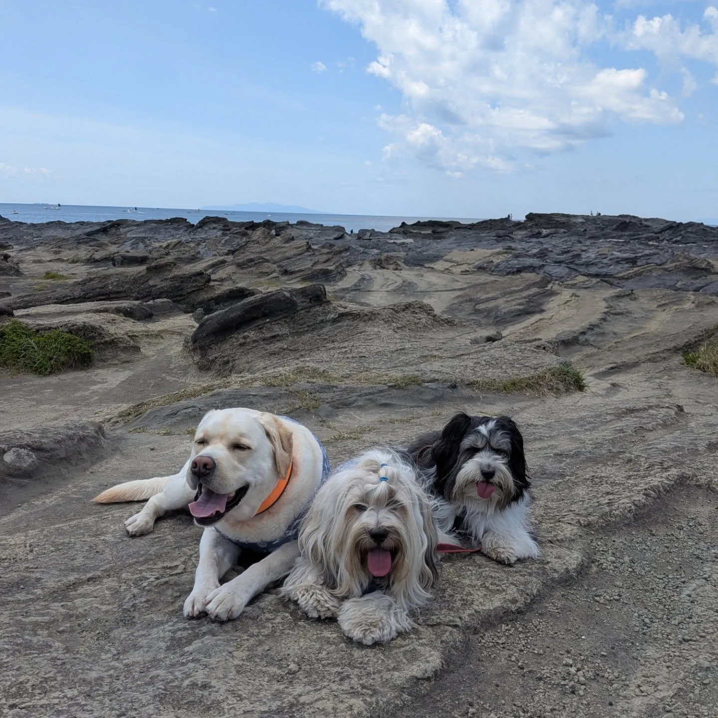 城ヶ島へ行ってきました😄