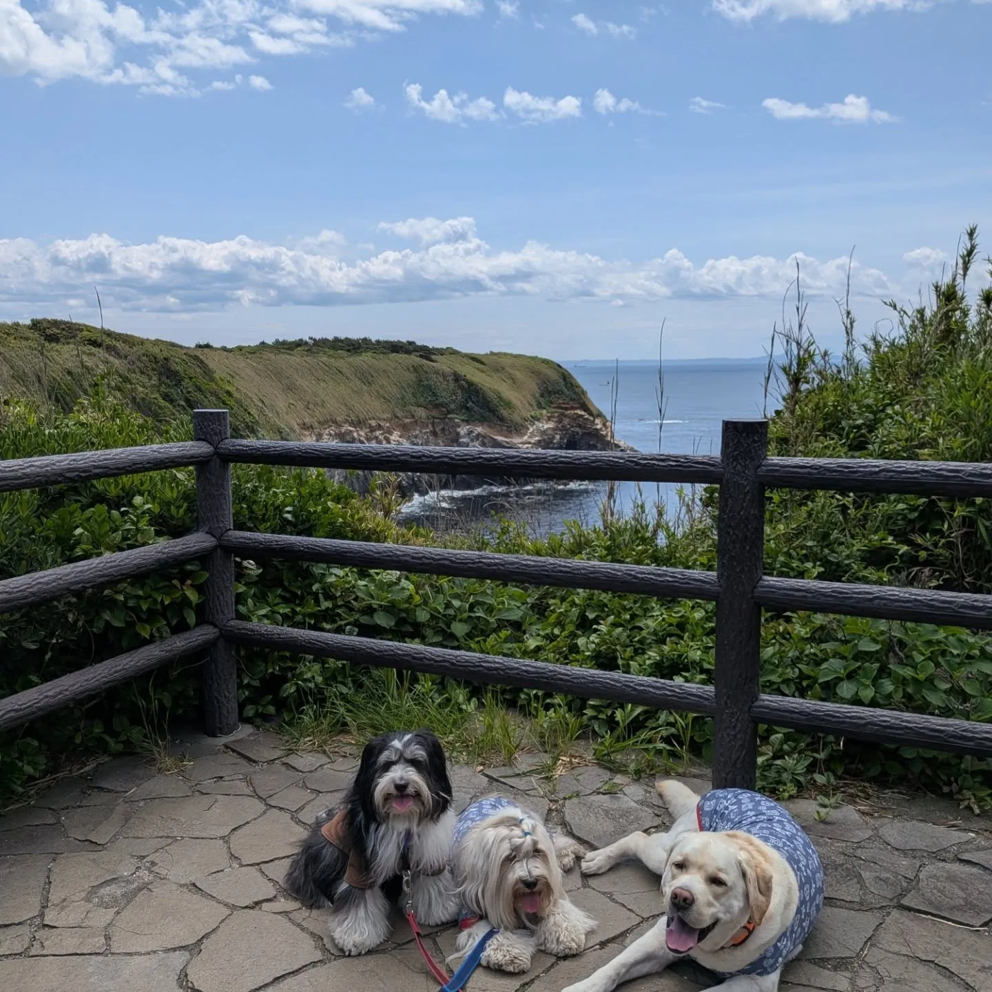 城ヶ島へ行ってきました😄